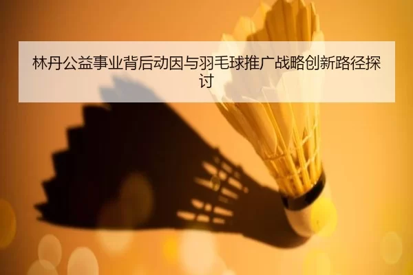 林丹公益事业背后动因与羽毛球推广战略创新路径探讨