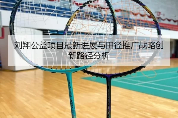 刘翔公益项目最新进展与田径推广战略创新路径分析